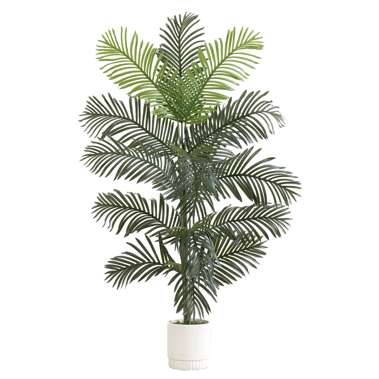 6ft. Artificial Paradise Palm with White Decorative Planter